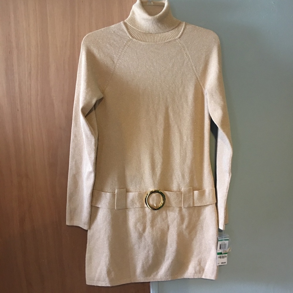 INC turtle neck sweater dress/ tunic